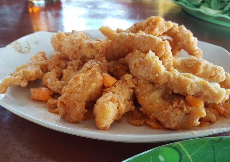 kampung oelin di sampit