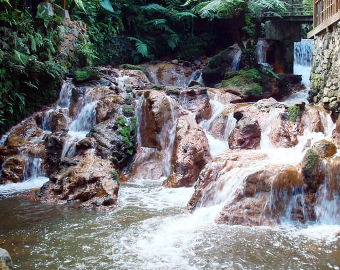 restaurant kampung daun