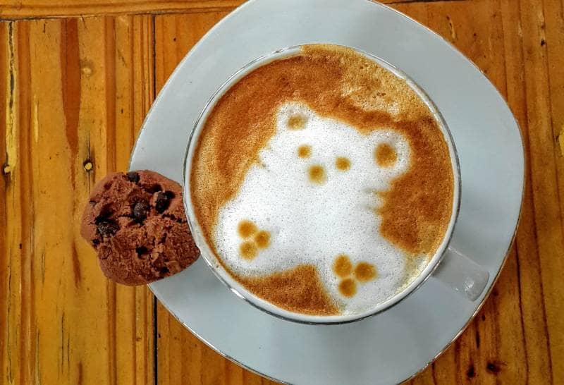 titik kumpul coffe & eatery