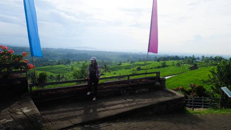 Jatiluwih rice terraces bali