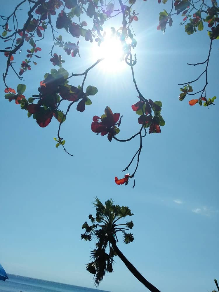 wisata di bali