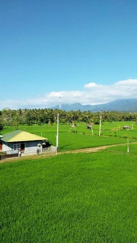 pantai lovina bali