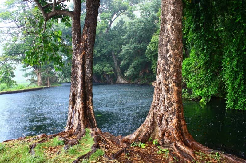 danau gumbang lombok