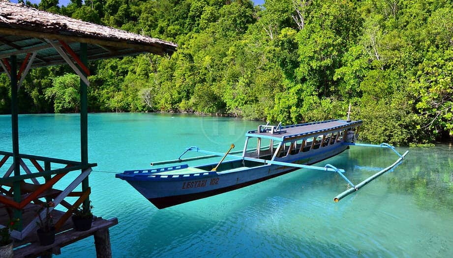 tomini bay