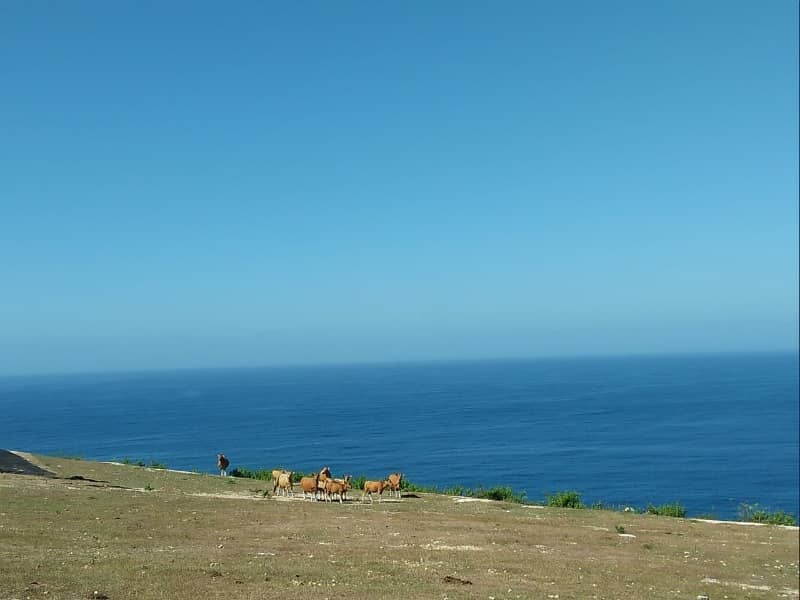 pantai melasti bali