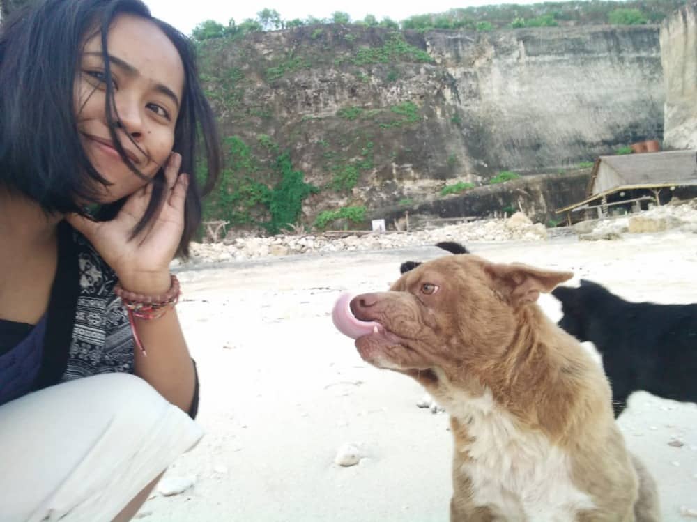 pantai melasti bali