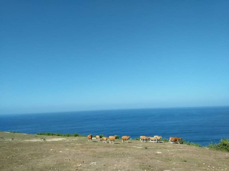 pantai melasti bali