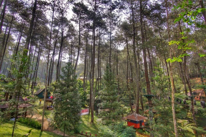 terminal wisata cikole