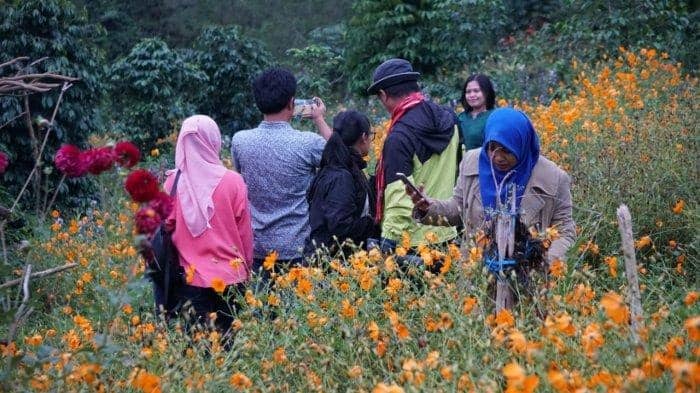 lembah seribu bunga medan