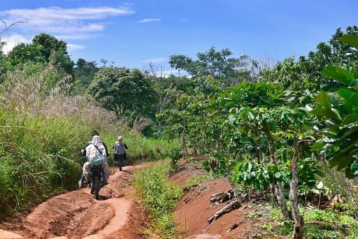 rute menuju air terjun putri malu