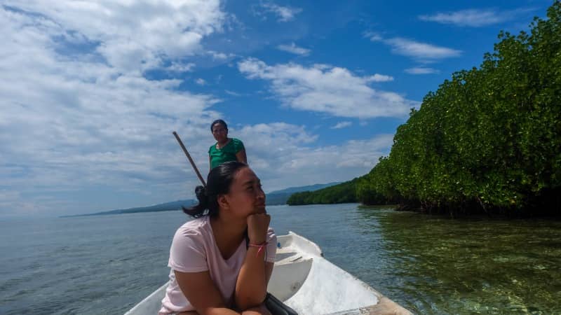 hutan mangrove nusa lembongan