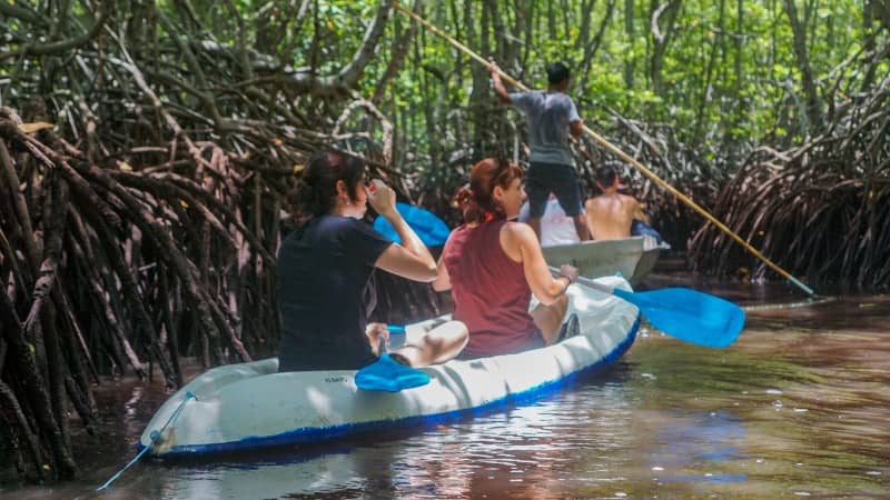 hutan mangrove nusa lembongan