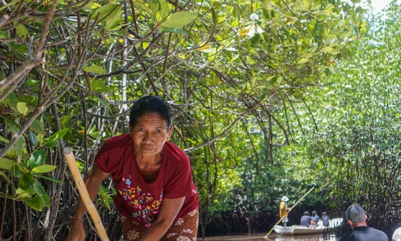 hutan mangrove nusa lembongan