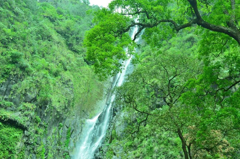air terjun sedudo