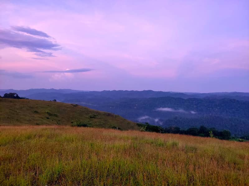 bukit teletabis rongi