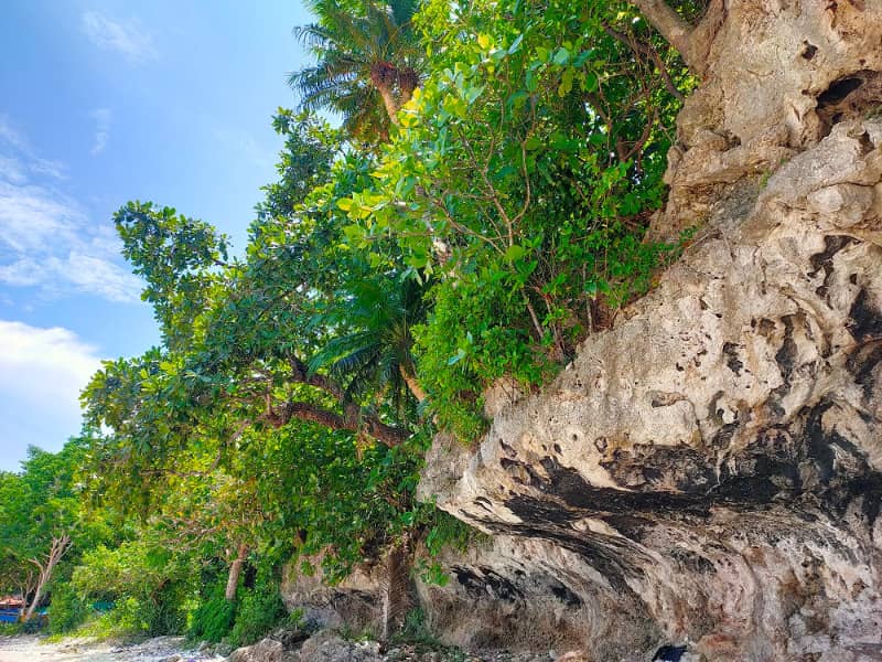 pantai jodoh buton selatan