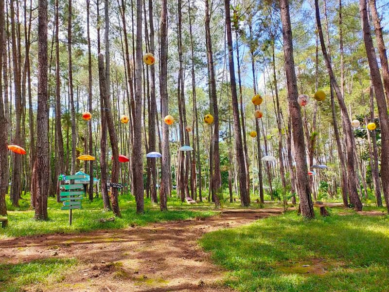 wisata menarik di bau bau