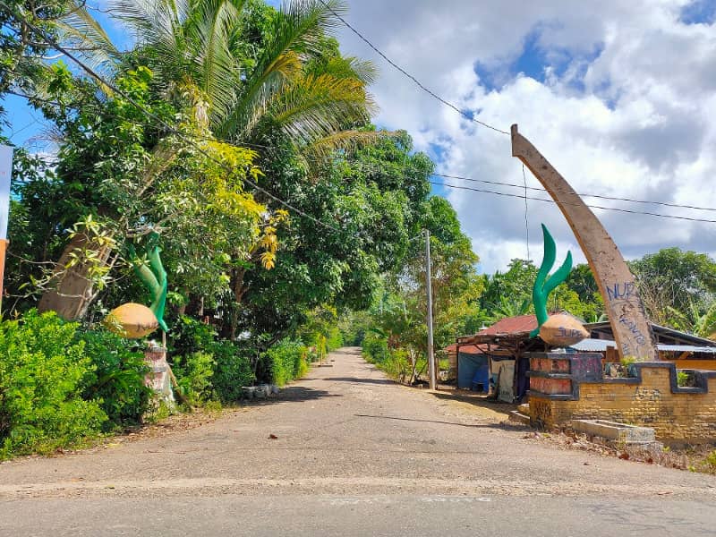 Hutan pinus samparona bau bau