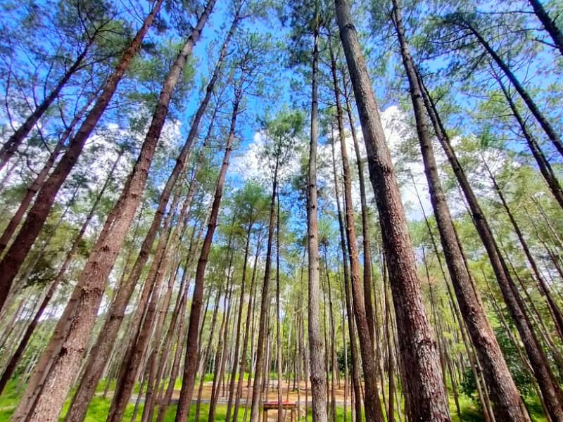 wisata menarik di bau bau