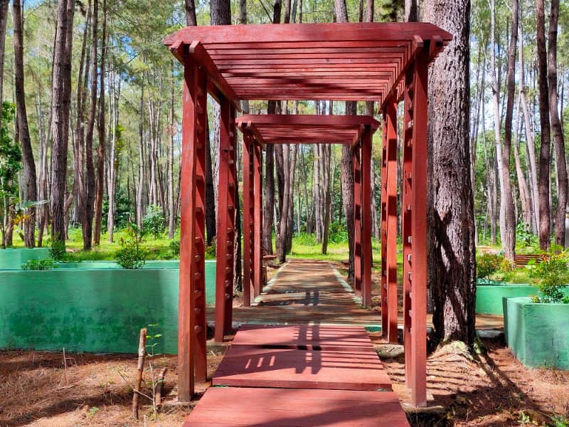 wisata sulawesi
