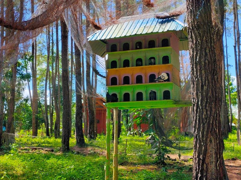 rekomendasi wisata di bau bau