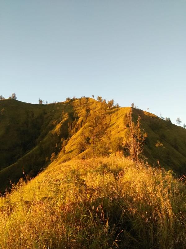 Puncak Bukit Trunyan Bali, tempat wisata di bali