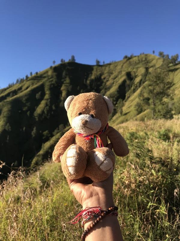 Puncak Bukit Trunyan Bali