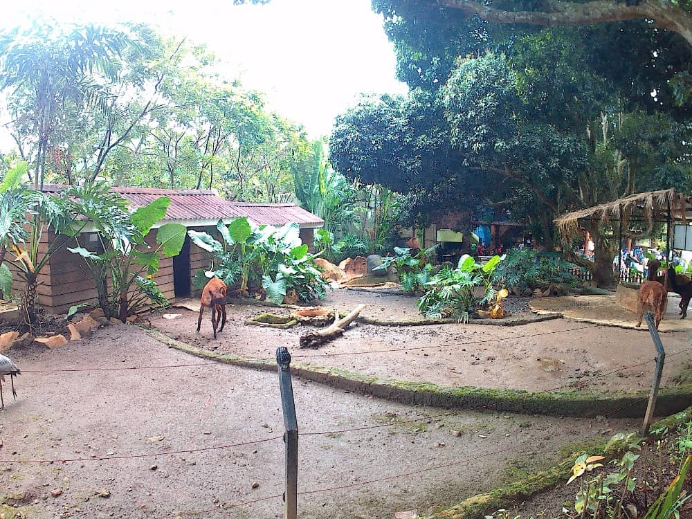 batu secret zoo