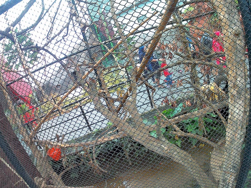 batu secret zoo