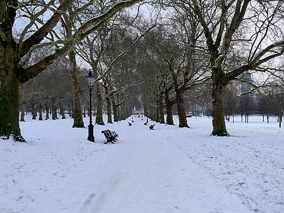 winter wonderland