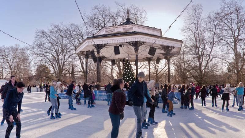 winter wonderland