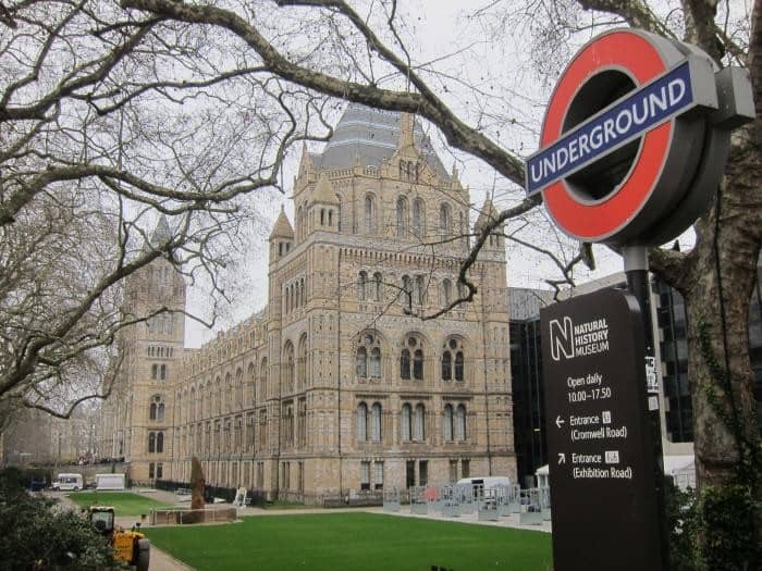 natural history museum