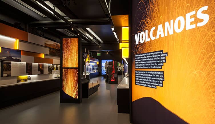 natural history museum