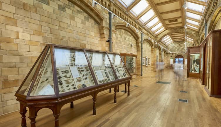 natural history museum