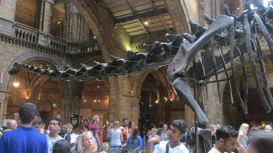 natural history museum