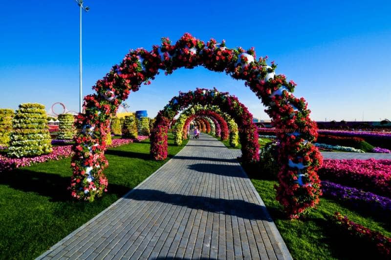 dubai miracle garden