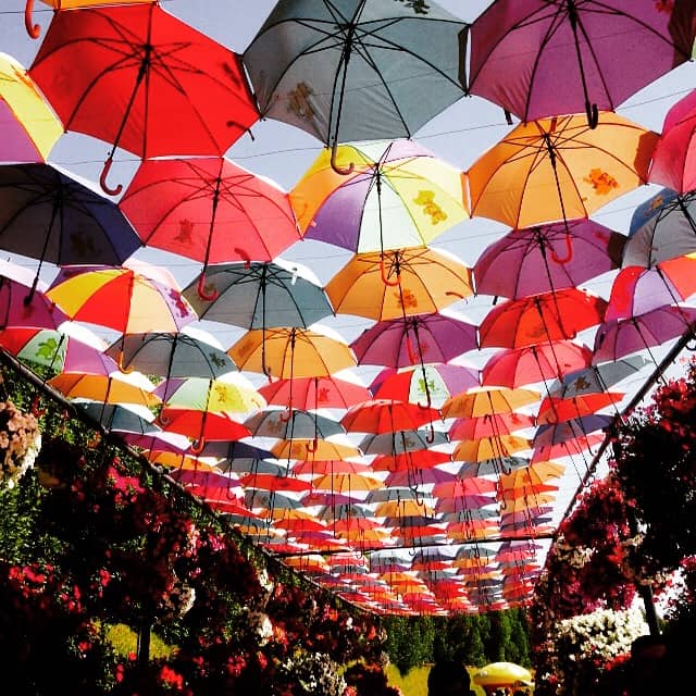 dubai miracle garden