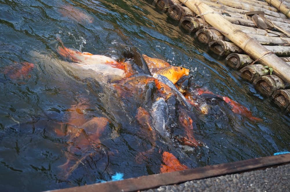 kampung sampireun garut