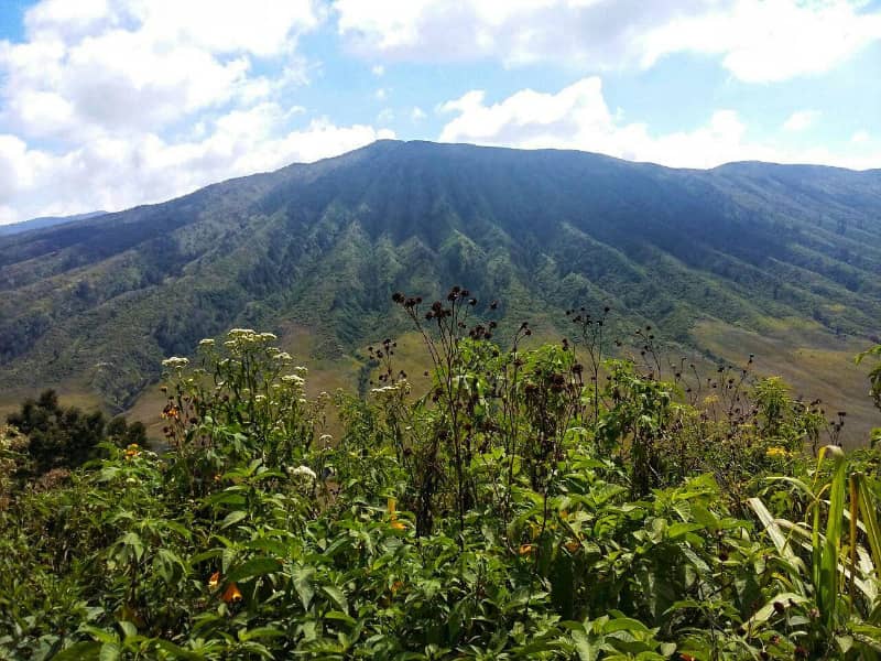 bukit teletubbies bromo