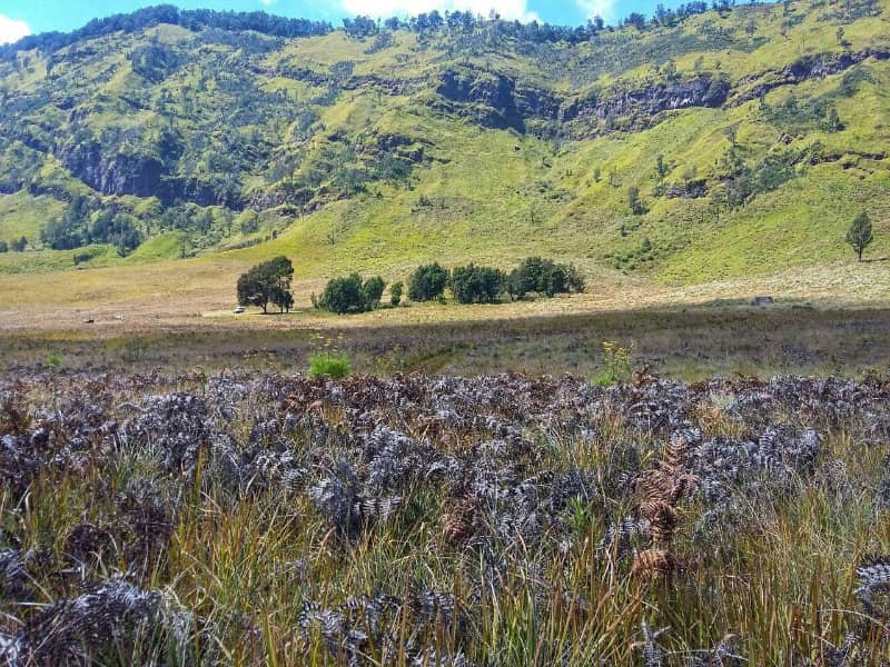 bukit teletubbies bromo